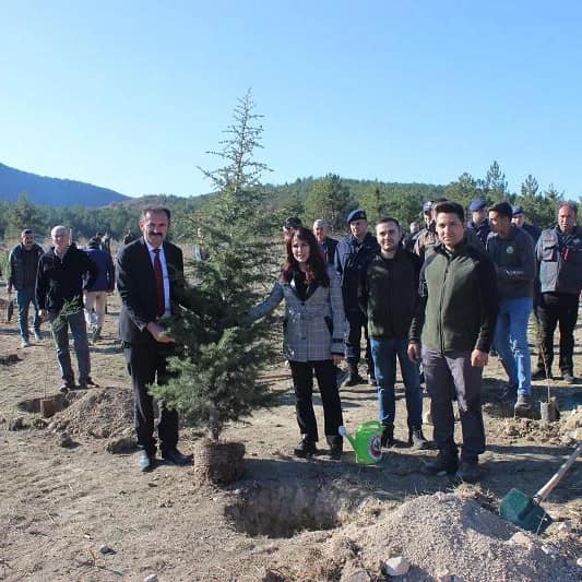 Milli Ağaçlandırma Günü Geleceğe Nefes Projesi Kapsamında, Ağaç Dikimi Gerçekleştirildi.